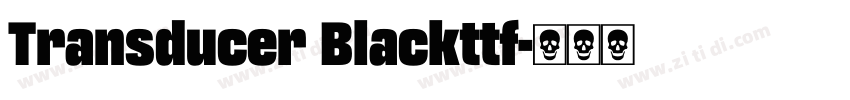 Transducer Blackttf字体转换 Transducer Blackttf字体转换
